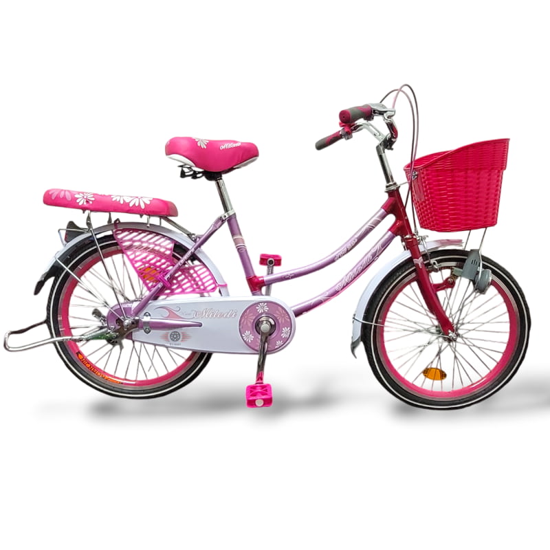 Bicicleta dama de paseo R24 c/parrilla